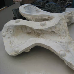 plaster mold